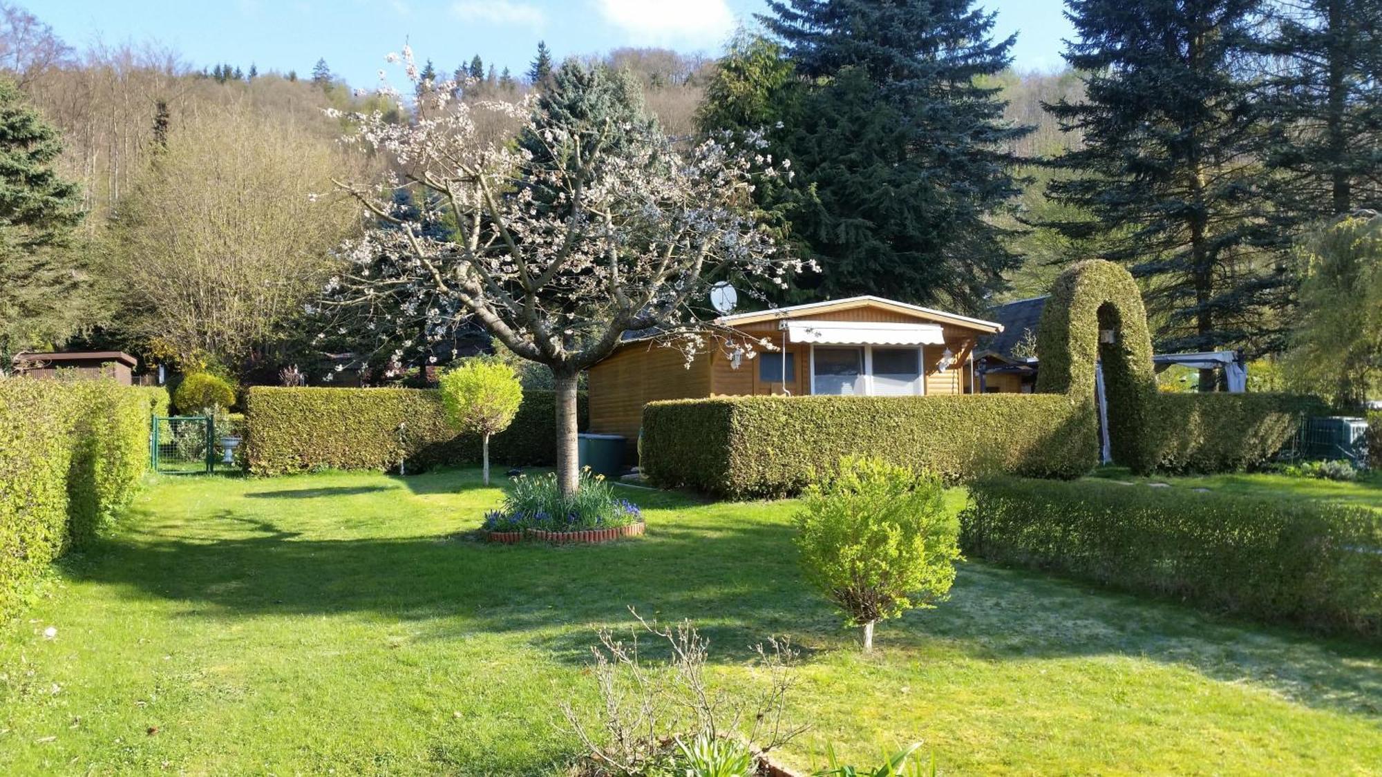 Poolhaus Im Suedharz Villa Harztor Bagian luar foto